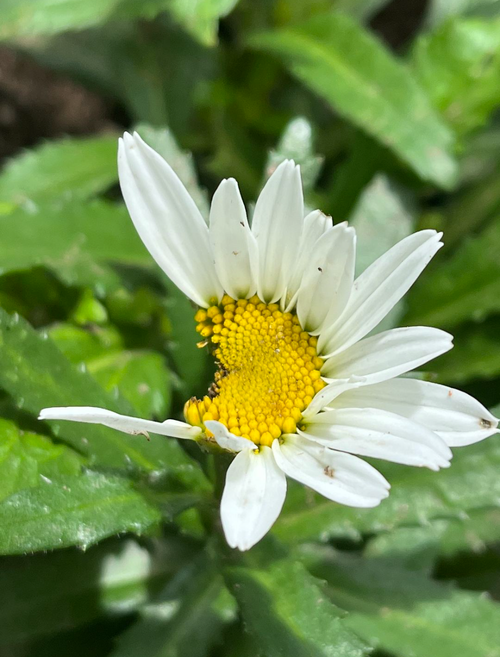 All The Things Life Throws At Us