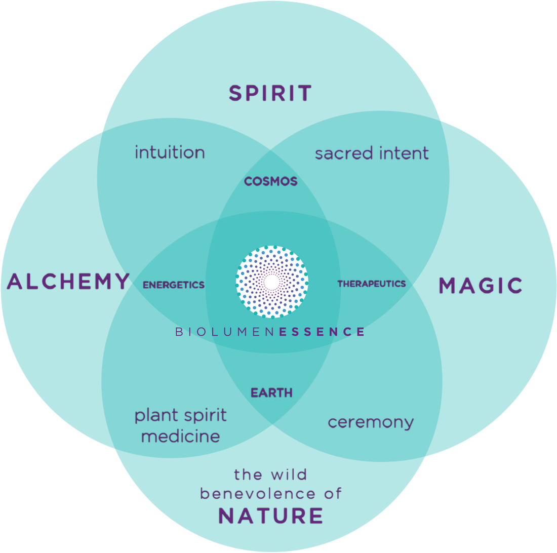 BiolumenEssence Flower Essence Venn Diagram