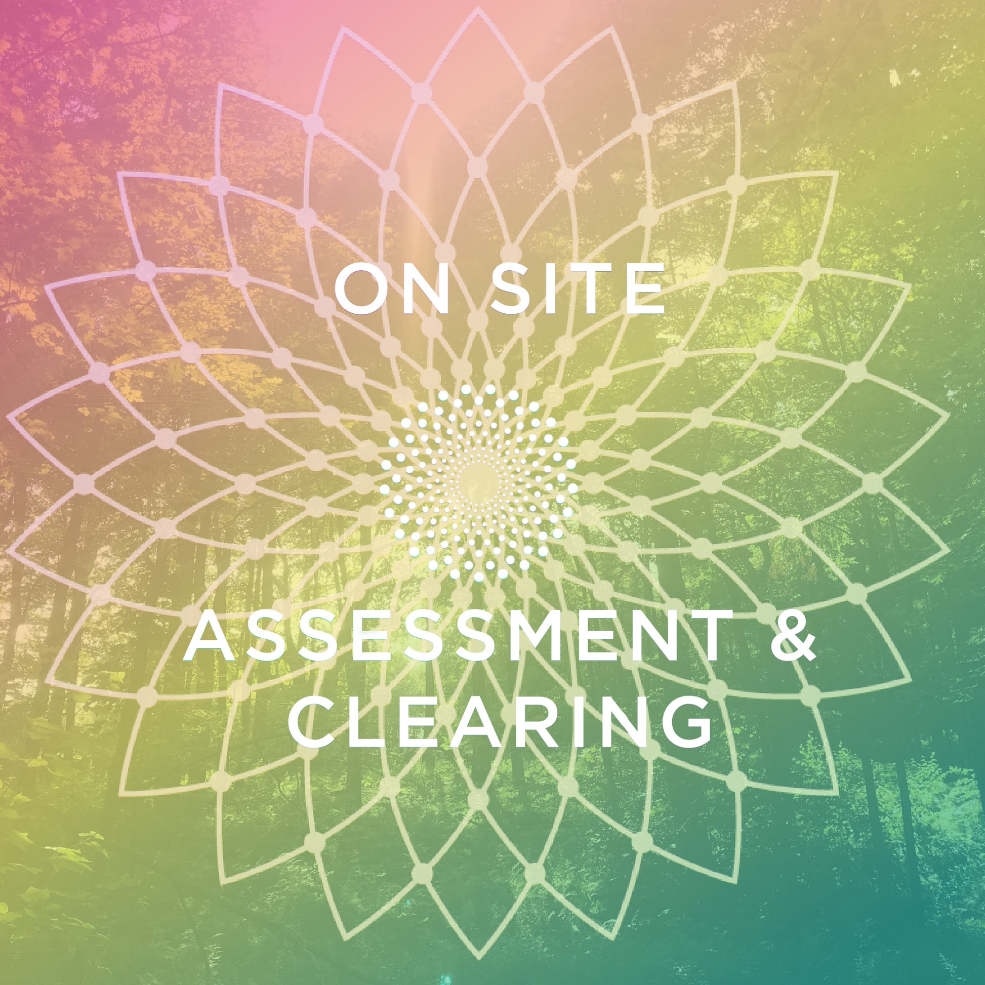 Biolumenosity On Site Assessment & Clearing