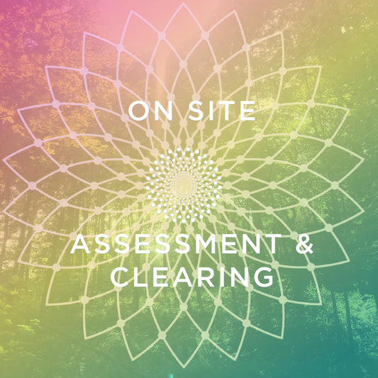 Biolumenosity On Site Assessment & Clearing