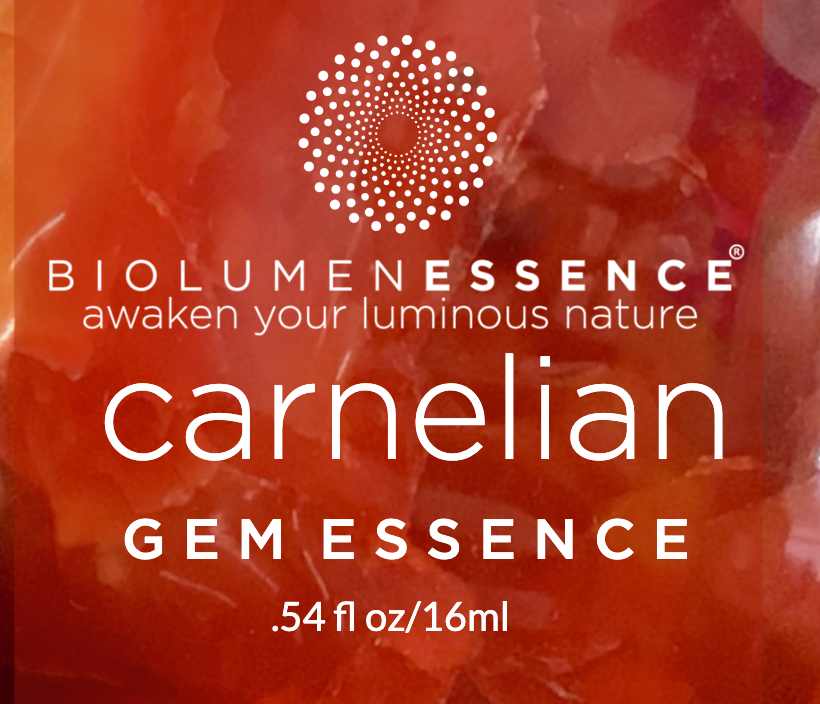 CARNELIAN GEM ESSENCE
