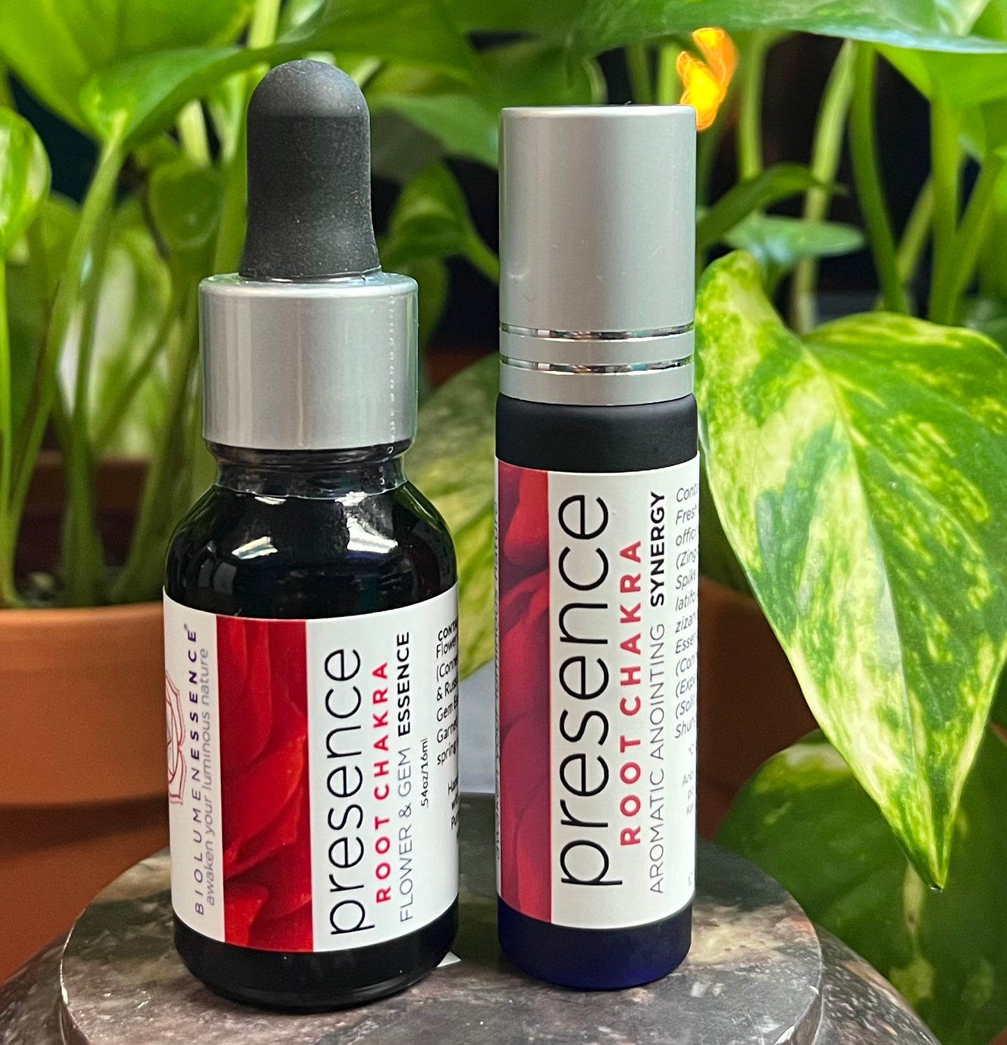 1st Chakra: PRESENCE Root Chakra Flower & Gem Essence