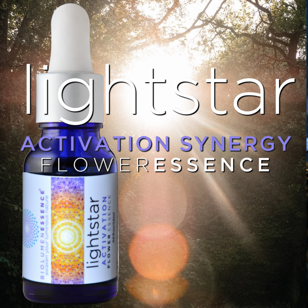 LightStar Flower Essence