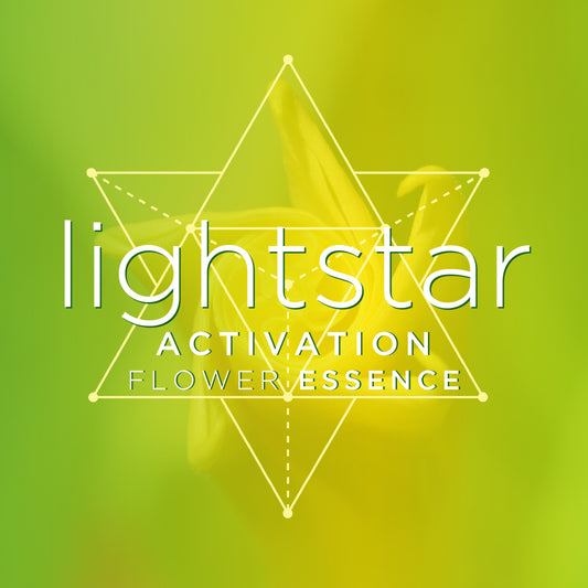 LIGHTSTAR FLOWER ESSENCE