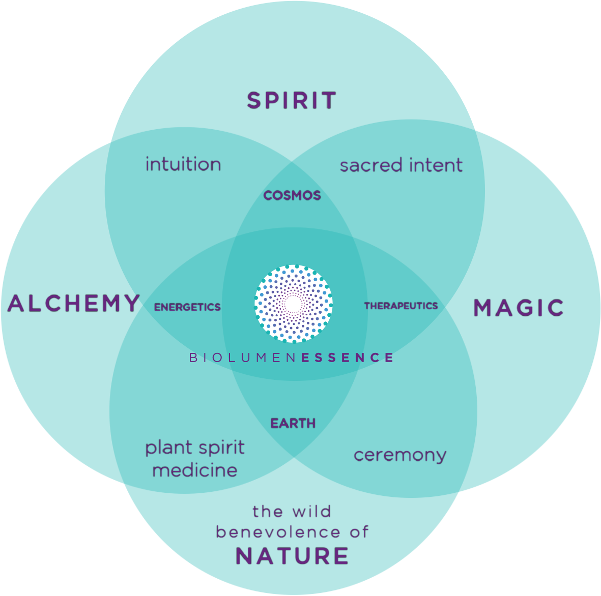 BiolumenEssence Venn Diagram