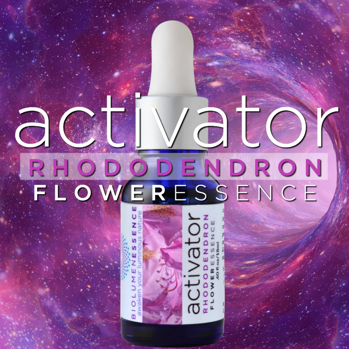 Activator Rhododendron Flower Essence