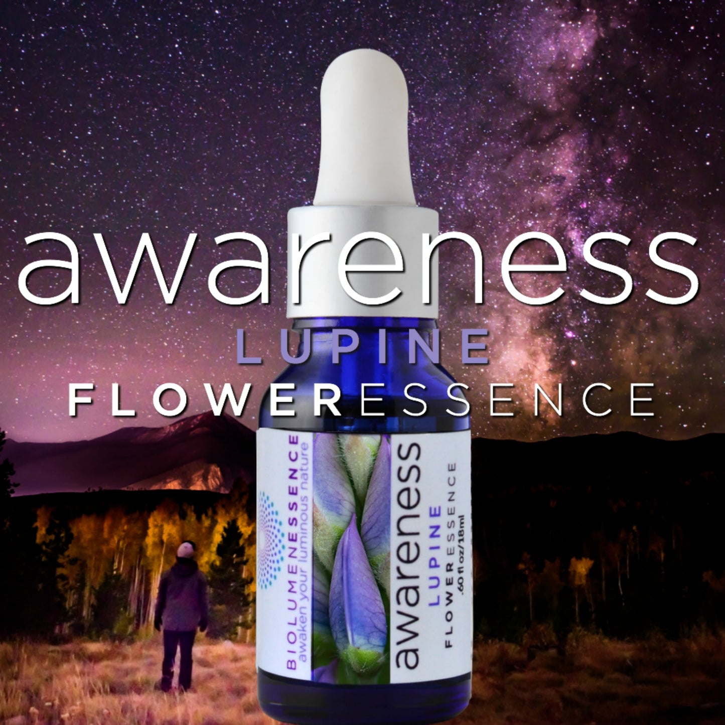 AWARENESS ~ LUPINE FLOWER ESSENCE