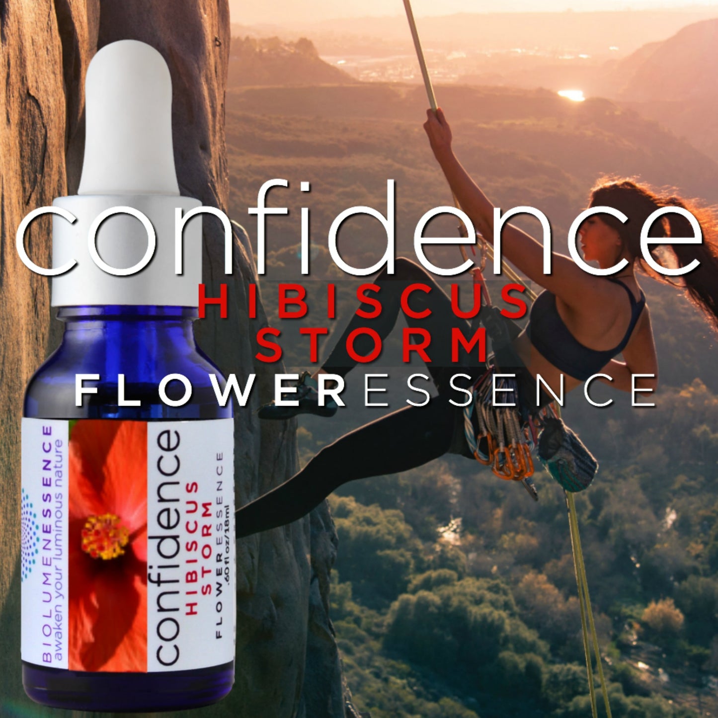 CONFIDENCE ~ HIBISCUS STORM FLOWER ESSENCE