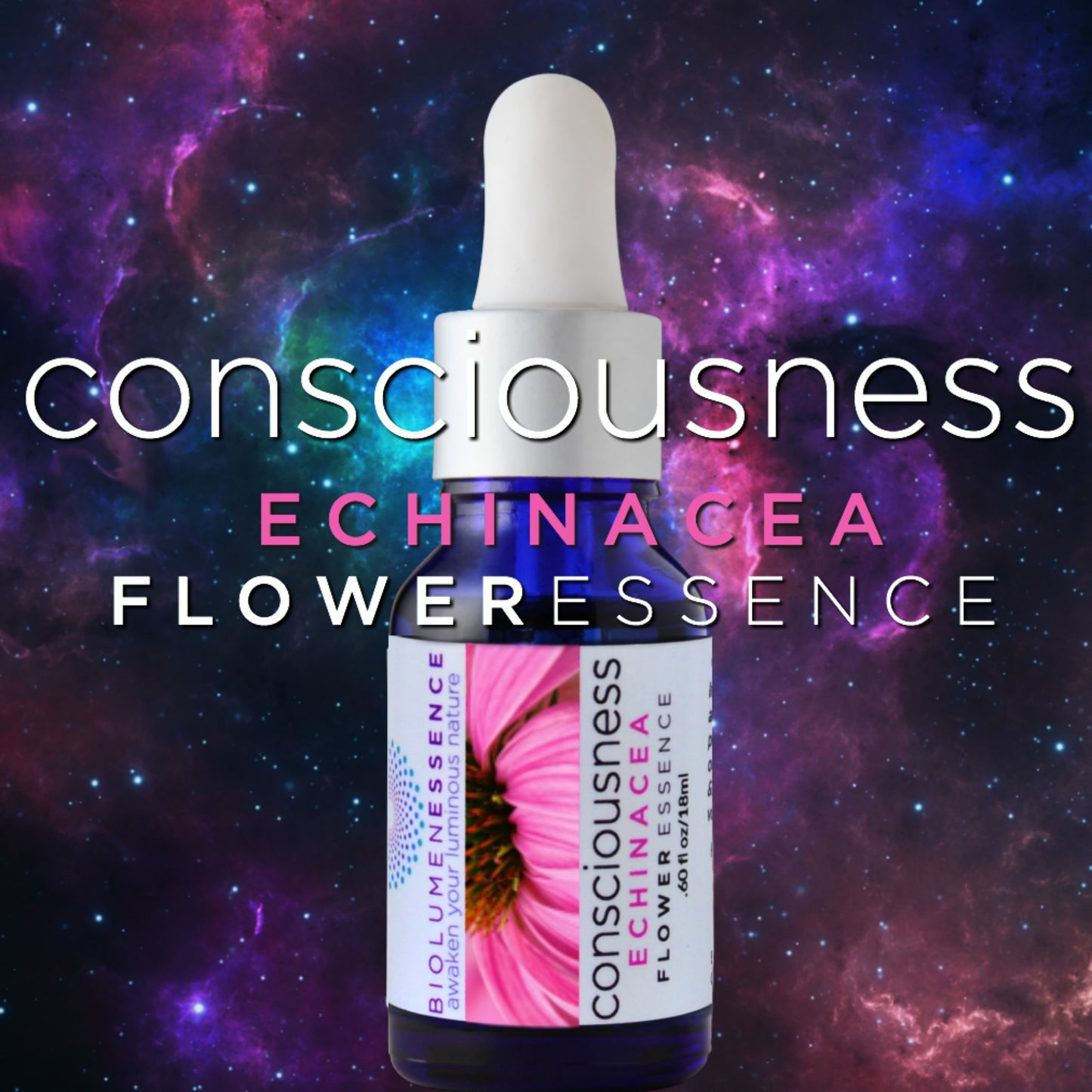 CONSCIOUSNESS ~ ECHINACEA FLOWER ESSENCE