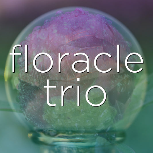 Flower Essence Oracle Trio