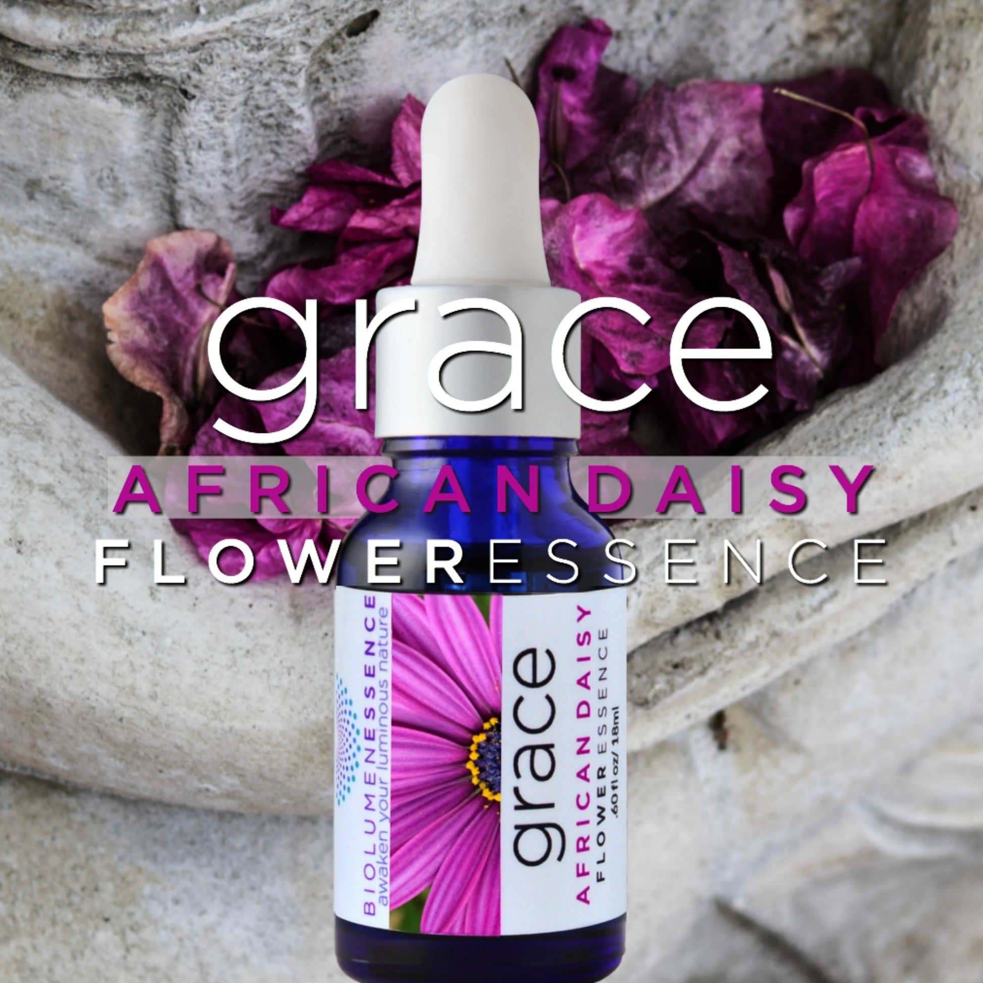 GRACE African Daisy Flower Essence