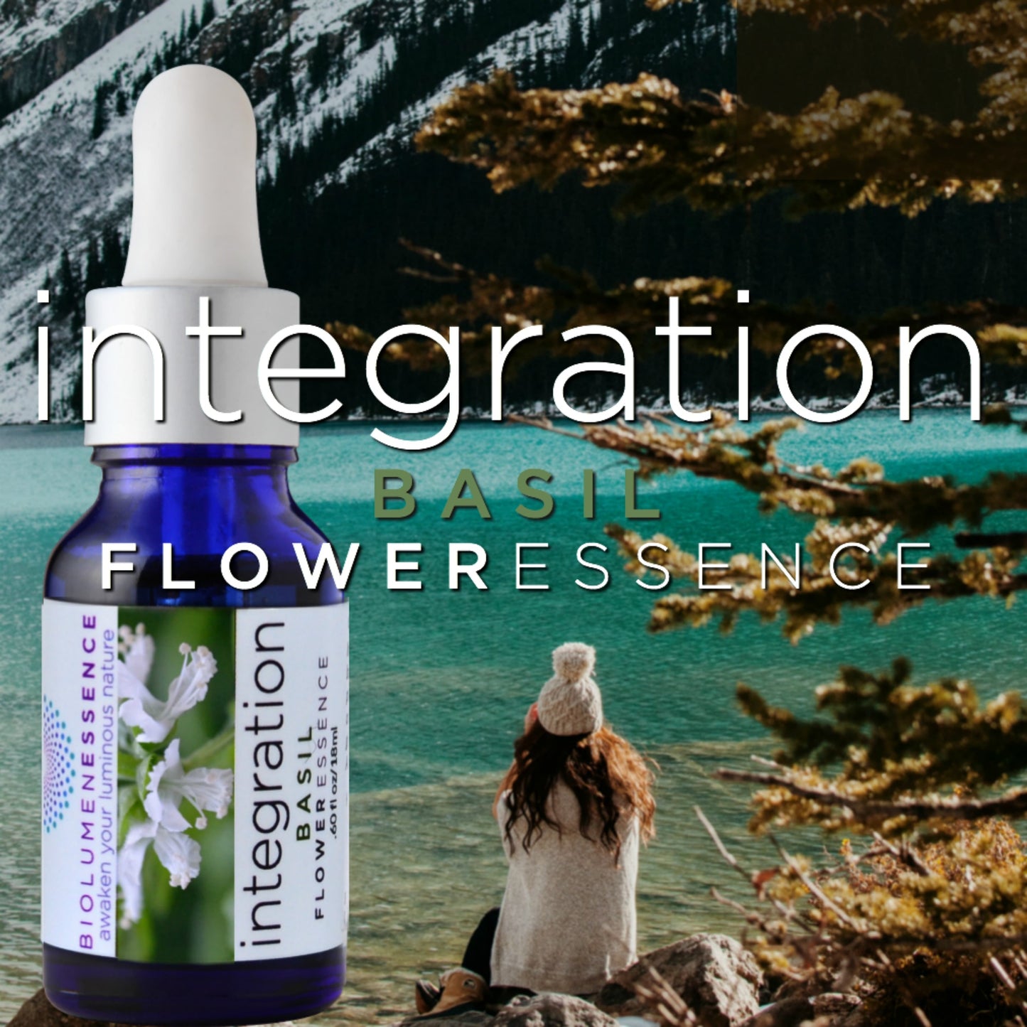 Integration Basil Flower Essence