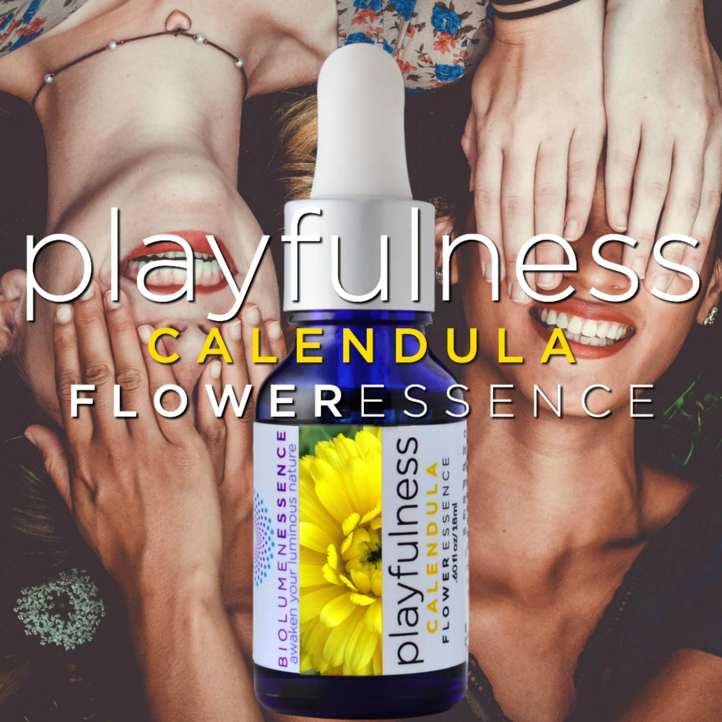Calendula Playfulness Flower Essence
