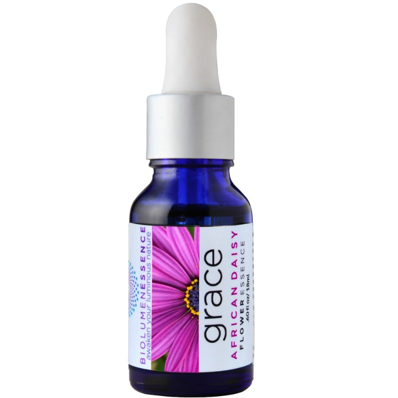 GRACE African Daisy Flower Essence