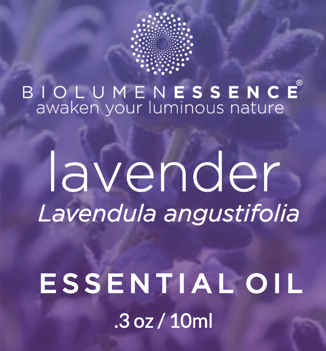 Lavender Essential Oil