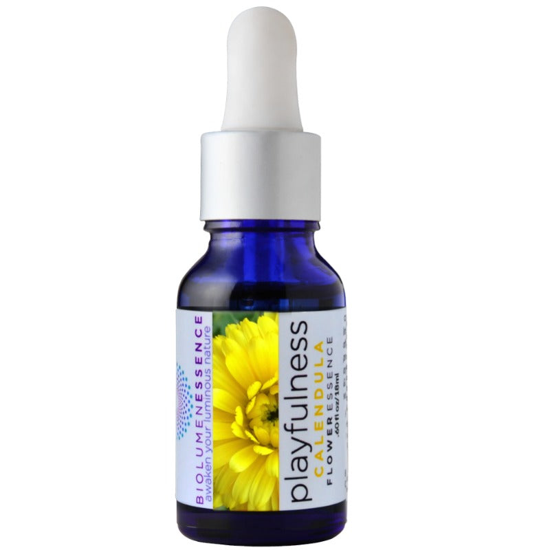 Playfulness Calendula Flower Essence