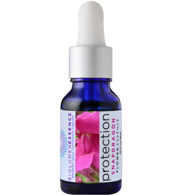 Protection Snap Dragon Flower Essence