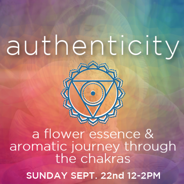 ALIGNMENT - CHAKRA FLOWER JOURNEY SERIES