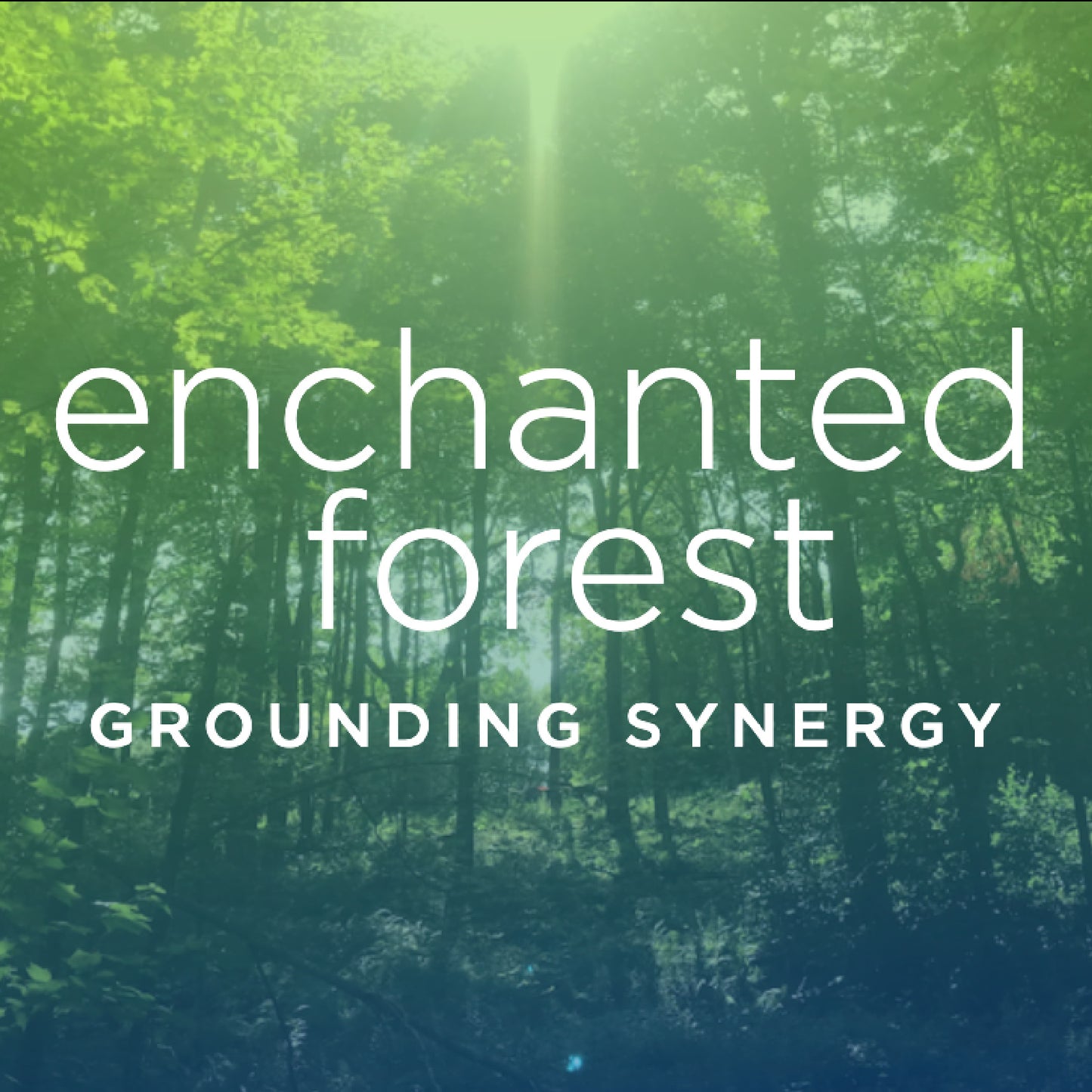 Enchanted Forest Aromatic Blends