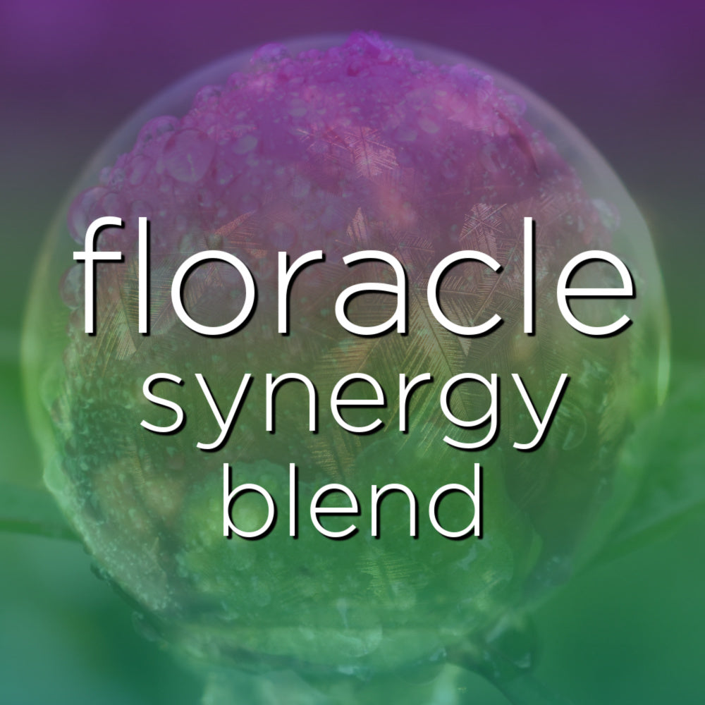 floracle flower essence oracle synergy blend