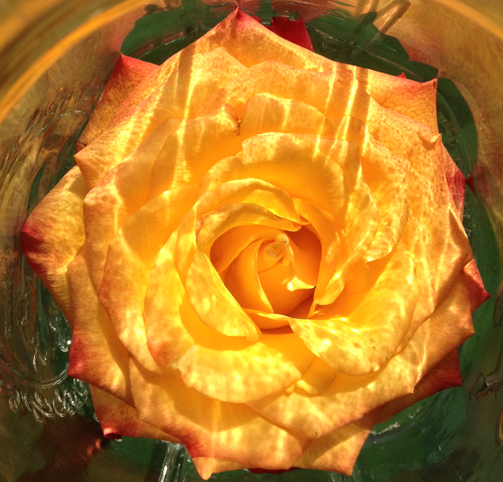 DIVINE FEMININE FLOWER ESSENCE