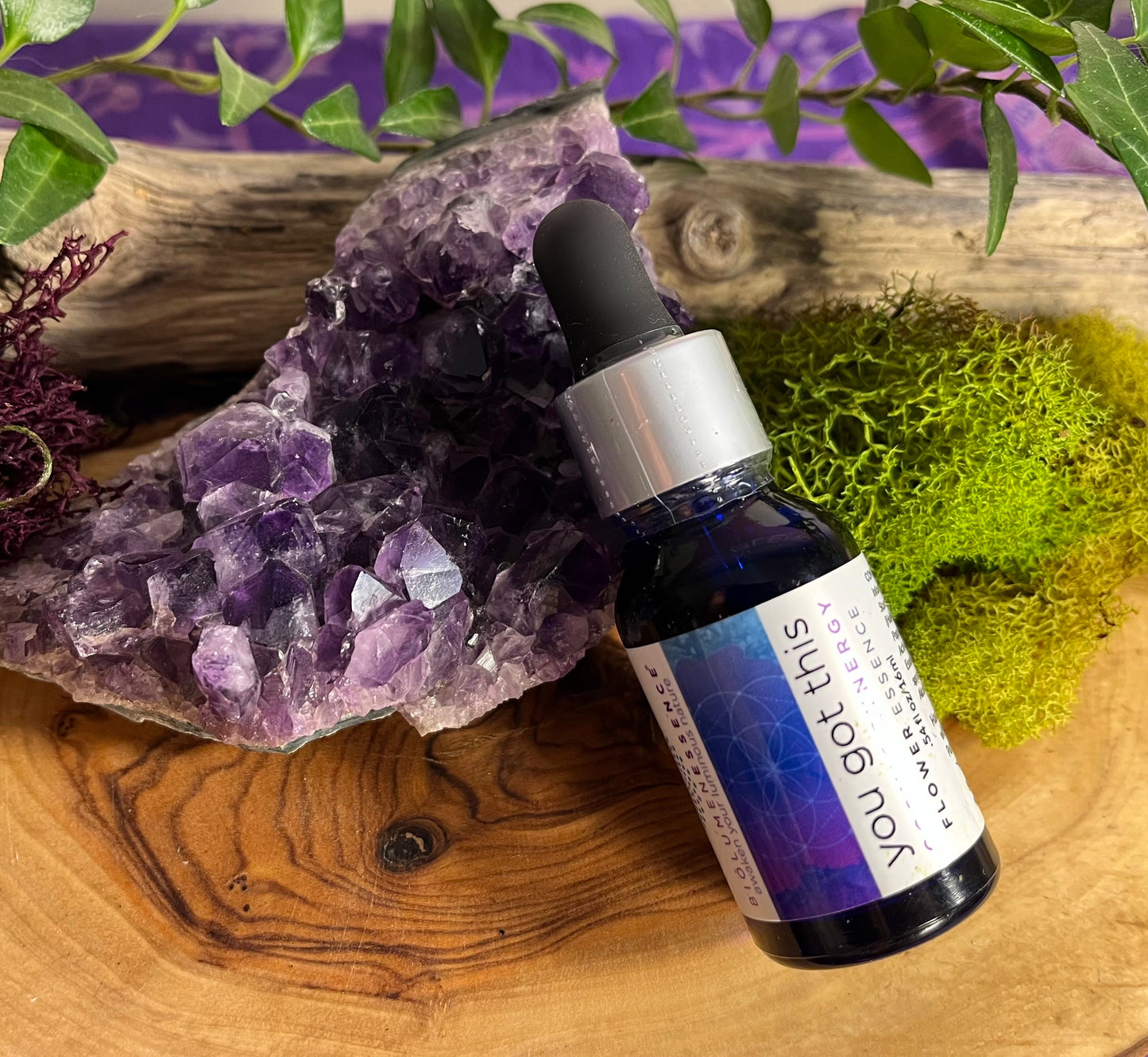 YOU GOT THIS ~ COSMIC SYNERGY FLOWER ESSENCE