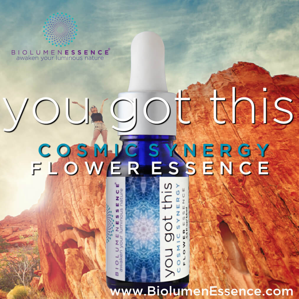 BiolumenEssence You Got This Cosmic Synergy Flower Essence bottle