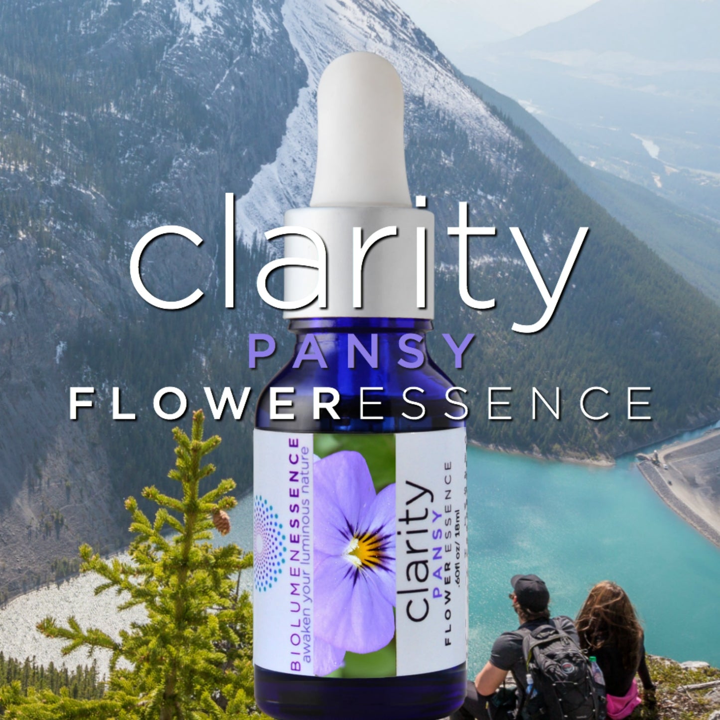 CLARITY ~ PANSY FLOWER ESSENCE