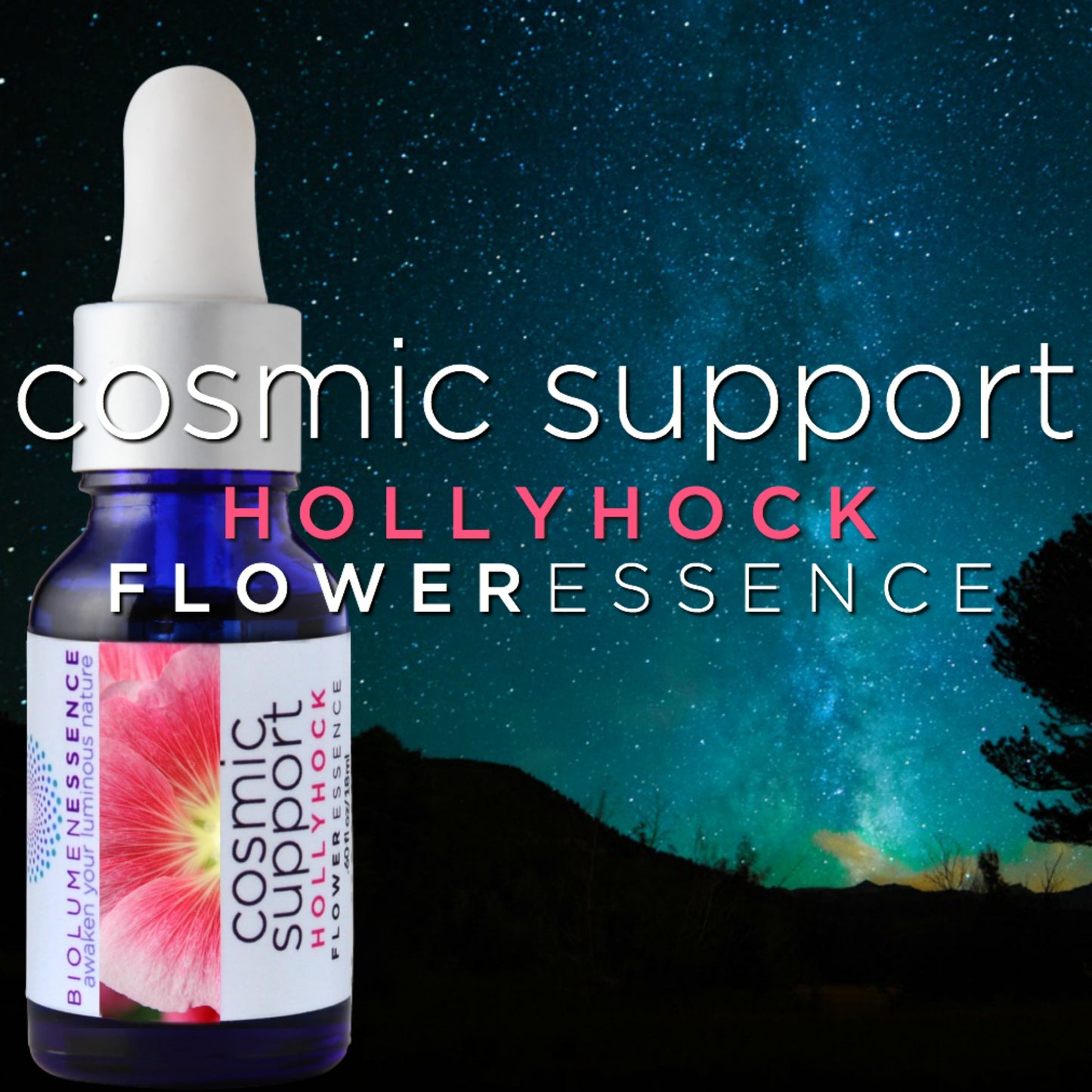 Cosmic Support Hollyhock Flower Essence