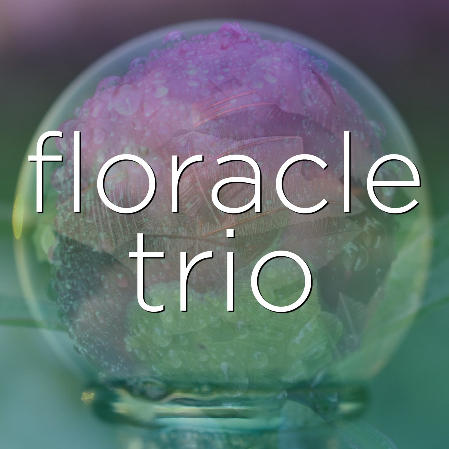 Flower Essence Oracle Trio