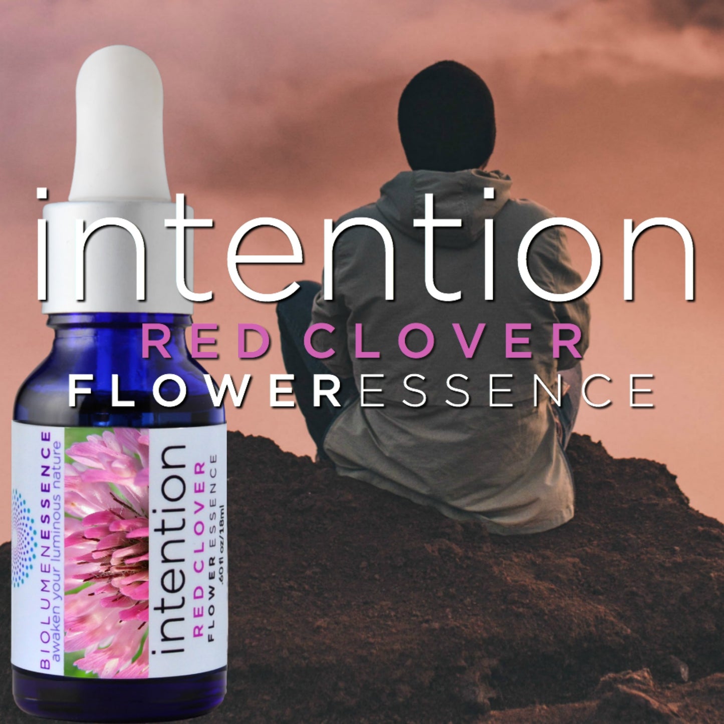 INTENTION Red Clover Flower Essence