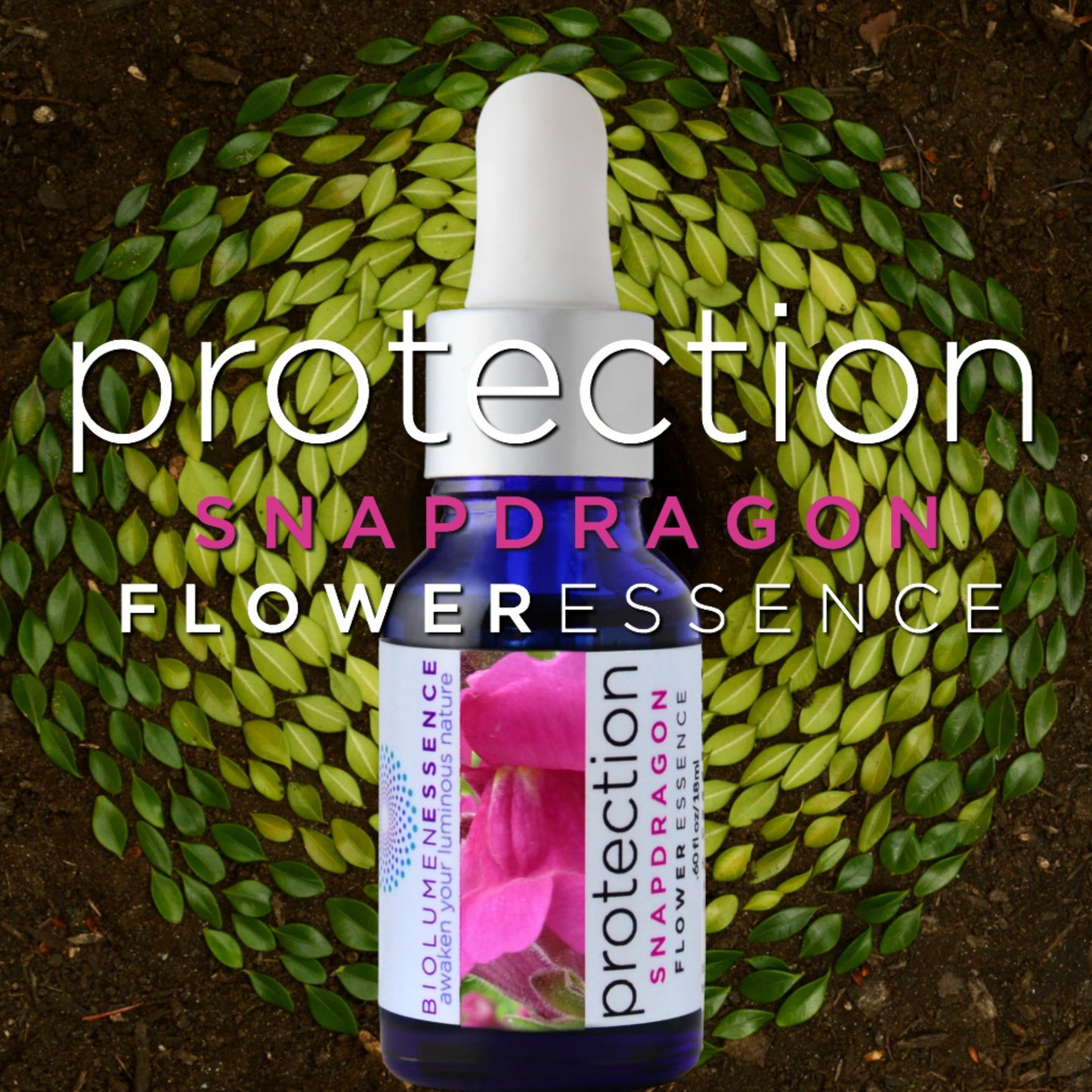 Protection Snap Dragon Flower Essence