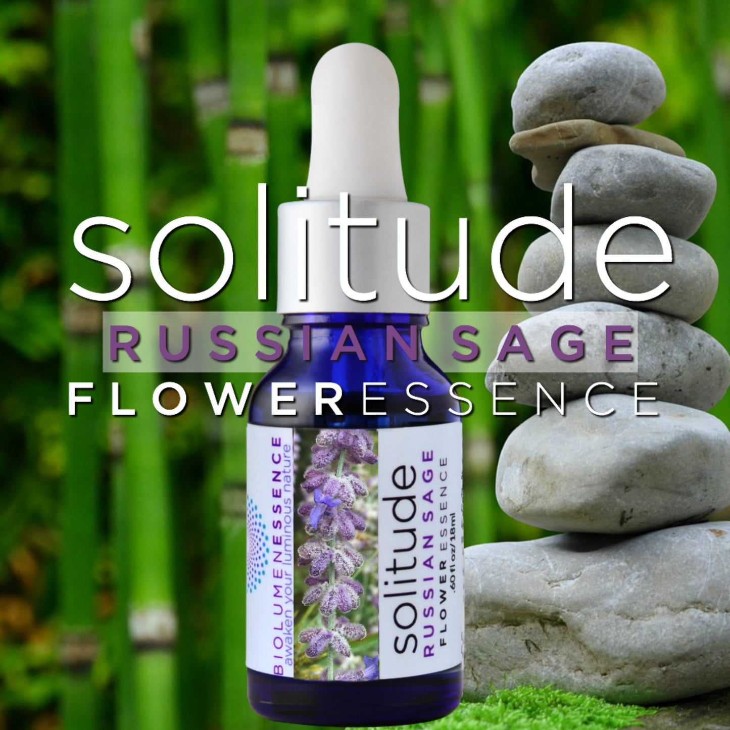 Solitude Russian Sage Flower Essence