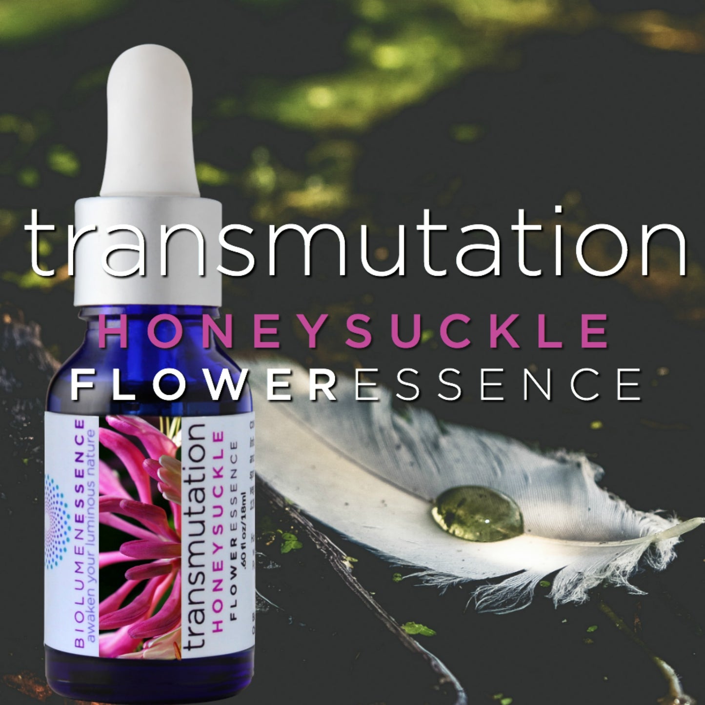 Transmutation Honeysuckle Flower Essence