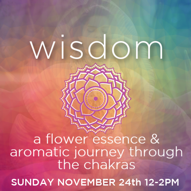 ALIGNMENT - CHAKRA FLOWER JOURNEY SERIES