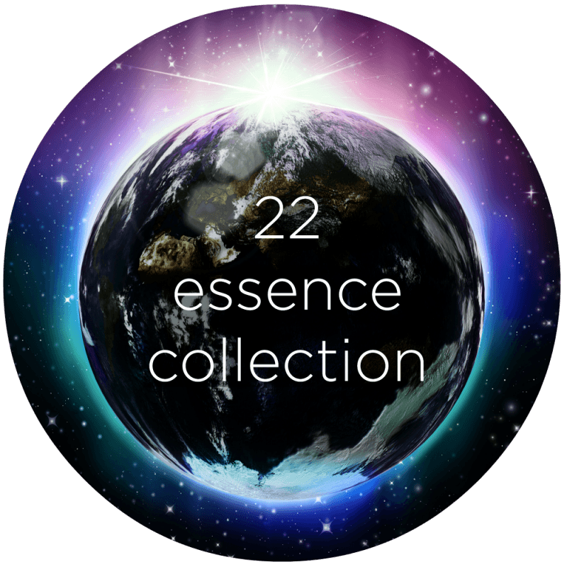 22 essence collection