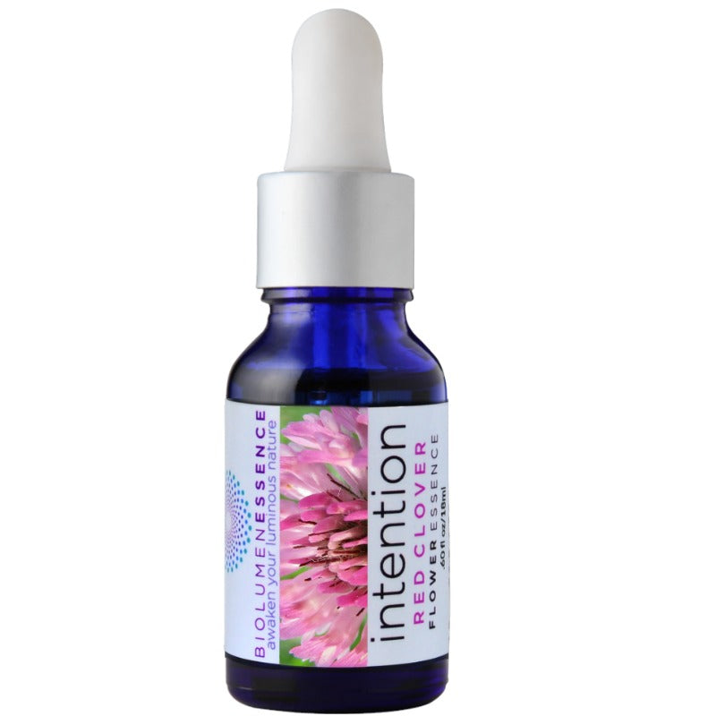 INTENTION Red Clover Flower Essence